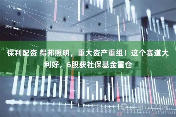 保利配资 得邦照明，重大资产重组！这个赛道大利好，6股获社保基金重仓