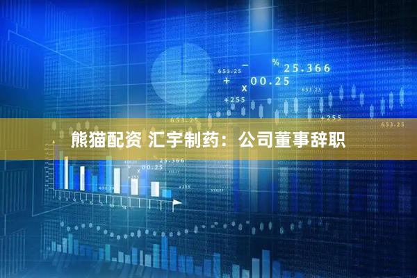 熊猫配资 汇宇制药：公司董事辞职