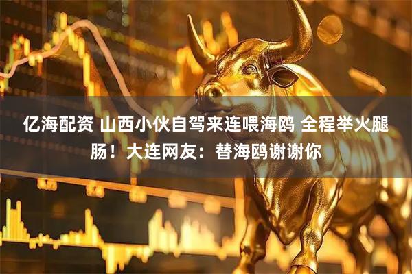亿海配资 山西小伙自驾来连喂海鸥 全程举火腿肠!大连网友:替海鸥谢谢你