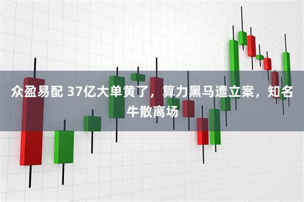 众盈易配 37亿大单黄了，算力黑马遭立案，知名牛散离场