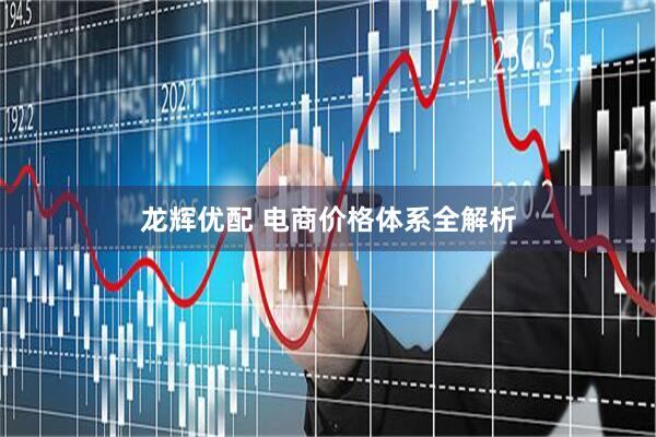 龙辉优配 电商价格体系全解析